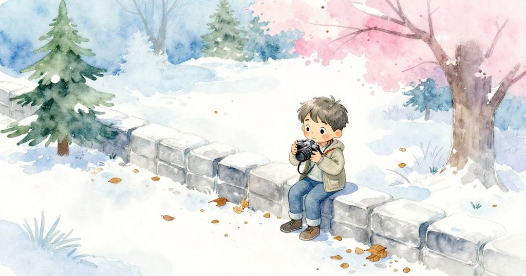 從高處俯瞰公園，李奧在低牆旁放下相機，四周散落著樹葉與小樹枝，寧靜氛圍蔓延。