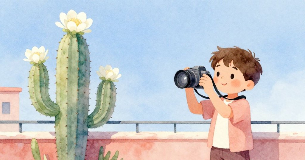 路易斯注視盛開白花仙人掌, 捕捉象徵希望的美景, 明亮夕陽映射藍天, 細膩呈現細節。