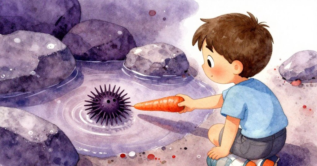 山姆從背後望向岩池，小海膽靜臥石上，他輕推胡蘿蔔，眼中流露好奇與探險情懷，海邊景致清晰。