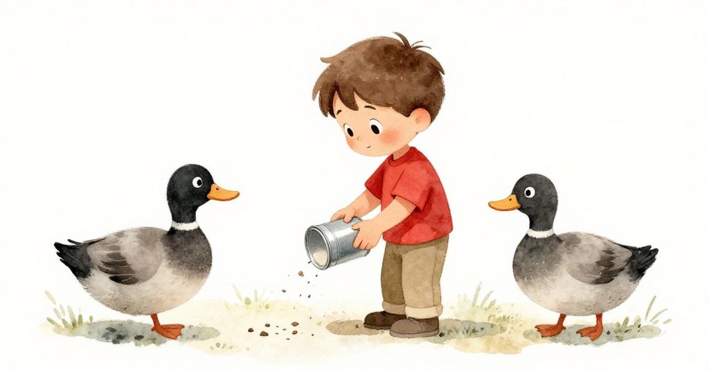 Leo在夕陽下緩緩關閉鐵盒,鴨子順草散去,盒內餅屑微顫,溫馨又具告別意味